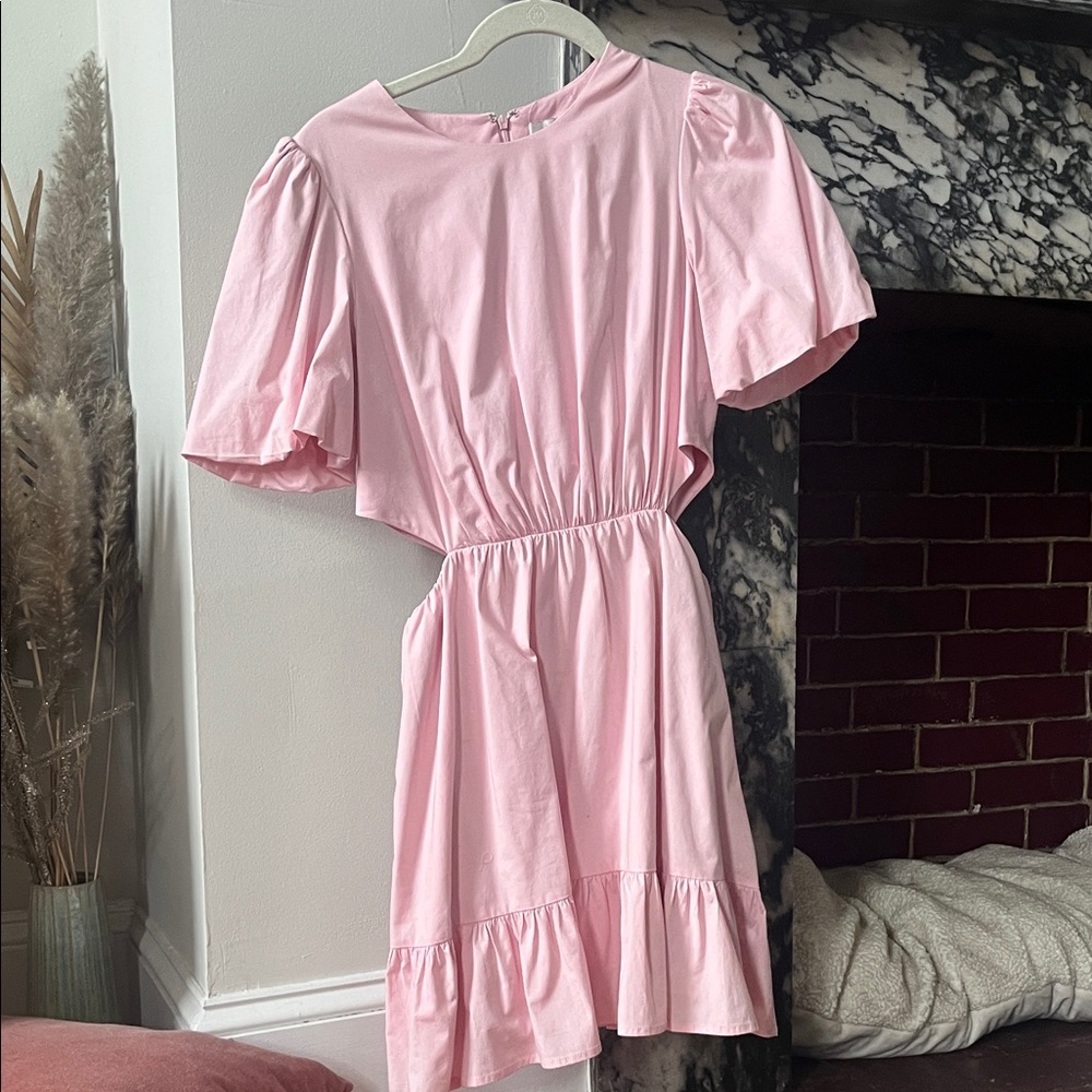 Pink Ruffle Sleeve Dress